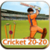 Cricket Game 20-20