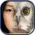 Animal Face Changer