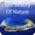 Free Amazing Nature Wallpapers