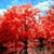 Beautiful Lake Live Wallpaper 2