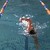Swim Coach Plus