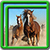 Fantastic Horses Live Wallpapers