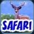 BabyFirst's Safari Defteri