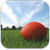 Rugby World Cup News - Schedule - Standing - Score