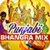 Punjabi Bhangra Mix