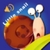 The Little Snail