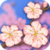 Japanese Flowers