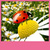 Ladybug Live Wallpapers Best