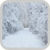 Snow Wallpaper HD