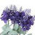 Lavender Flower Summer Wallpaper HD