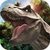 Deadly Wild Dino Simulator 3d