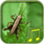 Cricket sounds app