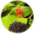 Benefits of Black Pepper