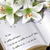 Love Quote Live Wallpaper