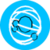 Cyber Twist
