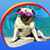 Cute Pugs Live Wallpapers