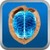 My Brain Fitness