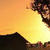 Nature Live Wallpaper 137