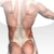 Back Pain Relief from CORE Physical Therapy