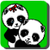 Panda mimi bears