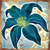 Lily Photo Crop Editor