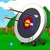 Archery Expert Game