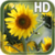 Sunflower Live Wallpaper HD