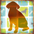 Dog Crop Photo