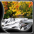 Amazing Autumn Live Wallpapers