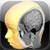 Brain Tutor 3D