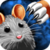 Cat Mouse Toy