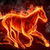 Horse Fire Live Wallpaper