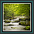 Live Wallpapers - Nature