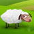 Funny Sheeps Live Wallpaper