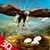 Life of Golden Eagle: Falcon Wildlife Simulation