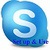 Skype Install and use