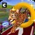 Animal Stunts in Water Park