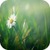 Grass 3D Live Wallpapers