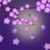Plum Flower LWP