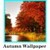 Autumn Wallpaper HD for Android