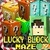 Lucky Block Maze - Survival new