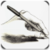 Drawing and Painting Lessons