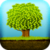 Trees Species