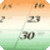 Indian Calendar 2010