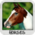 Horses Wallpapers by Nisavac Wallpapers