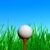 My Golf Caddy