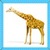 Kids Giraffe