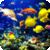 Magical Underwater Wallpapers