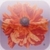 The Oncologist