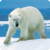 Zoo : Arctic Wild Animals